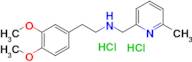 [2-(3,4-dimethoxyphenyl)ethyl][(6-methylpyridin-2-yl)methyl]amine dihydrochloride