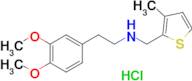 [2-(3,4-dimethoxyphenyl)ethyl][(3-methylthiophen-2-yl)methyl]amine hydrochloride