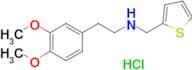 [2-(3,4-dimethoxyphenyl)ethyl][(thiophen-2-yl)methyl]amine hydrochloride