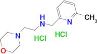 [(6-methylpyridin-2-yl)methyl][2-(morpholin-4-yl)ethyl]amine dihydrochloride