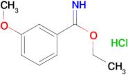ethyl 3-methoxybenzene-1-carboximidate hydrochloride