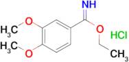ethyl 3,4-dimethoxybenzene-1-carboximidate hydrochloride