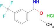 ethyl 3-(trifluoromethyl)benzene-1-carboximidate hydrochloride