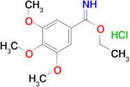 ethyl 3,4,5-trimethoxybenzene-1-carboximidate hydrochloride