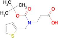 3-{[(tert-butoxy)carbonyl][(thiophen-2-yl)methyl]amino}propanoic acid