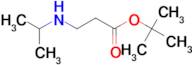 tert-butyl 3-[(propan-2-yl)amino]propanoate