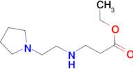 ethyl 3-{[2-(pyrrolidin-1-yl)ethyl]amino}propanoate