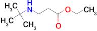 ethyl 3-(tert-butylamino)propanoate