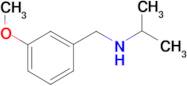 [(3-methoxyphenyl)methyl](propan-2-yl)amine
