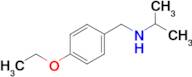 [(4-ethoxyphenyl)methyl](propan-2-yl)amine