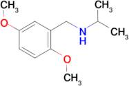 [(2,5-dimethoxyphenyl)methyl](propan-2-yl)amine