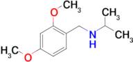 [(2,4-dimethoxyphenyl)methyl](propan-2-yl)amine