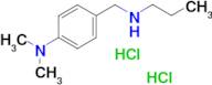 N,N-dimethyl-4-[(propylamino)methyl]aniline dihydrochloride