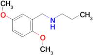 [(2,5-dimethoxyphenyl)methyl](propyl)amine