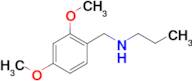 [(2,4-dimethoxyphenyl)methyl](propyl)amine