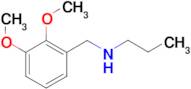 [(2,3-dimethoxyphenyl)methyl](propyl)amine