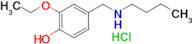 4-[(butylamino)methyl]-2-ethoxyphenol hydrochloride