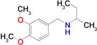 (butan-2-yl)[(3,4-dimethoxyphenyl)methyl]amine