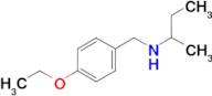 (butan-2-yl)[(4-ethoxyphenyl)methyl]amine