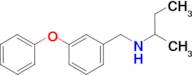 (butan-2-yl)[(3-phenoxyphenyl)methyl]amine