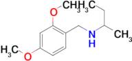 (butan-2-yl)[(2,4-dimethoxyphenyl)methyl]amine