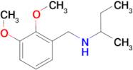 (butan-2-yl)[(2,3-dimethoxyphenyl)methyl]amine