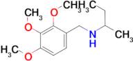 (butan-2-yl)[(2,3,4-trimethoxyphenyl)methyl]amine