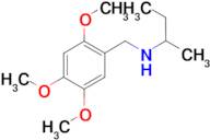 (butan-2-yl)[(2,4,5-trimethoxyphenyl)methyl]amine