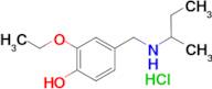 4-{[(butan-2-yl)amino]methyl}-2-ethoxyphenol hydrochloride