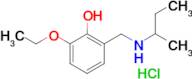 2-{[(butan-2-yl)amino]methyl}-6-ethoxyphenol hydrochloride