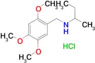 (butan-2-yl)[(2,4,5-trimethoxyphenyl)methyl]amine hydrochloride