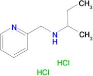 (butan-2-yl)[(pyridin-2-yl)methyl]amine dihydrochloride