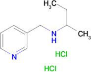 (butan-2-yl)[(pyridin-3-yl)methyl]amine dihydrochloride