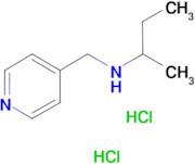 (butan-2-yl)[(pyridin-4-yl)methyl]amine dihydrochloride