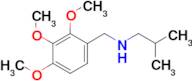 (2-methylpropyl)[(2,3,4-trimethoxyphenyl)methyl]amine