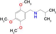 (2-methylpropyl)[(2,4,5-trimethoxyphenyl)methyl]amine