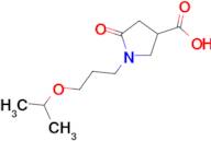 5-oxo-1-[3-(propan-2-yloxy)propyl]pyrrolidine-3-carboxylic acid