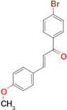 (2E)-1-(4-bromophenyl)-3-(4-methoxyphenyl)prop-2-en-1-one