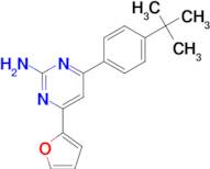 4-(4-tert-butylphenyl)-6-(furan-2-yl)pyrimidin-2-amine