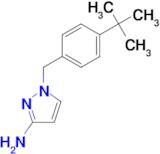 1-[(4-tert-butylphenyl)methyl]-1H-pyrazol-3-amine