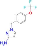 1-{[4-(trifluoromethoxy)phenyl]methyl}-1H-pyrazol-3-amine
