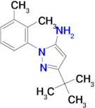 3-tert-butyl-1-(2,3-dimethylphenyl)-1H-pyrazol-5-amine