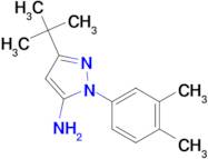 3-tert-butyl-1-(3,4-dimethylphenyl)-1H-pyrazol-5-amine