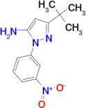 3-tert-butyl-1-(3-nitrophenyl)-1H-pyrazol-5-amine