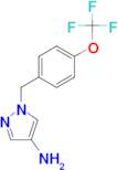 1-{[4-(trifluoromethoxy)phenyl]methyl}-1H-pyrazol-4-amine