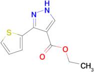 ethyl 5-(thiophen-2-yl)-1H-pyrazole-4-carboxylate