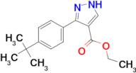 ethyl 5-(4-tert-butylphenyl)-1H-pyrazole-4-carboxylate