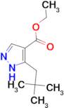 ethyl 5-(2,2-dimethylpropyl)-1H-pyrazole-4-carboxylate