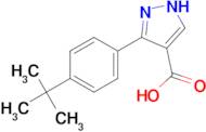 5-(4-tert-butylphenyl)-1H-pyrazole-4-carboxylic acid