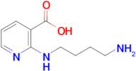 2-[(4-aminobutyl)amino]pyridine-3-carboxylic acid